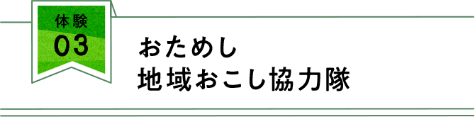 おためし地域おこし協力隊